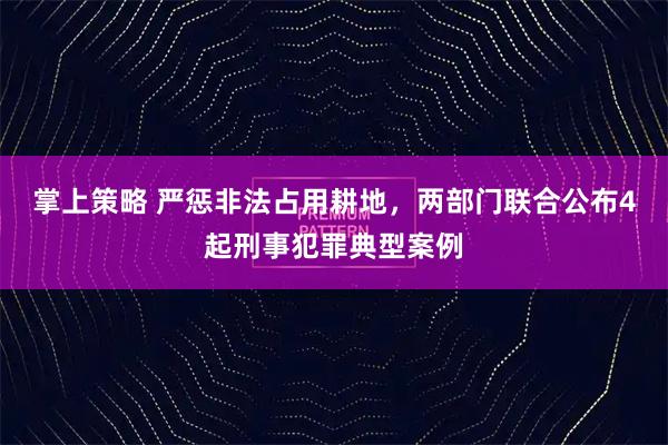 掌上策略 严惩非法占用耕地，两部门联合公布4起刑事犯罪典型案例